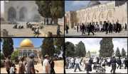 PNC: The Israeli occupation turning of Al-Aqsa  Mosque courtyards into a war zone is a &quot;complete crime&quot;, and holds the occupation responsible