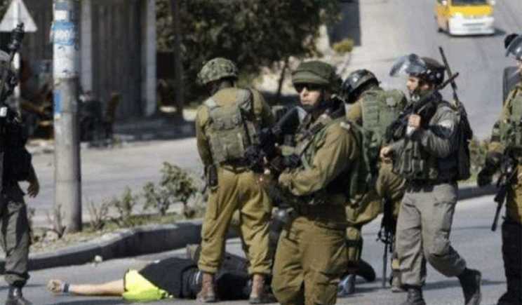 PNC: Field Executions of Palestinians is an interpretation  of the instructions of Naftali Bennett government